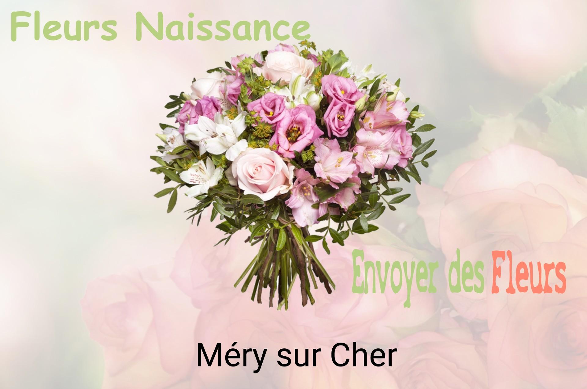 Bouquet de fleurs de naissance livré à Méry-sur-Cher